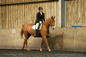 Isis Dressage Crown Farm Show 29th April 2012